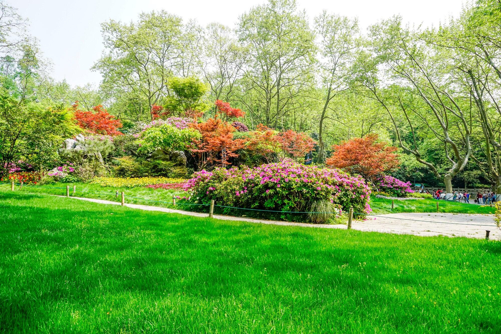 The Ultimate Guide to Hydroseeding Services in Australia