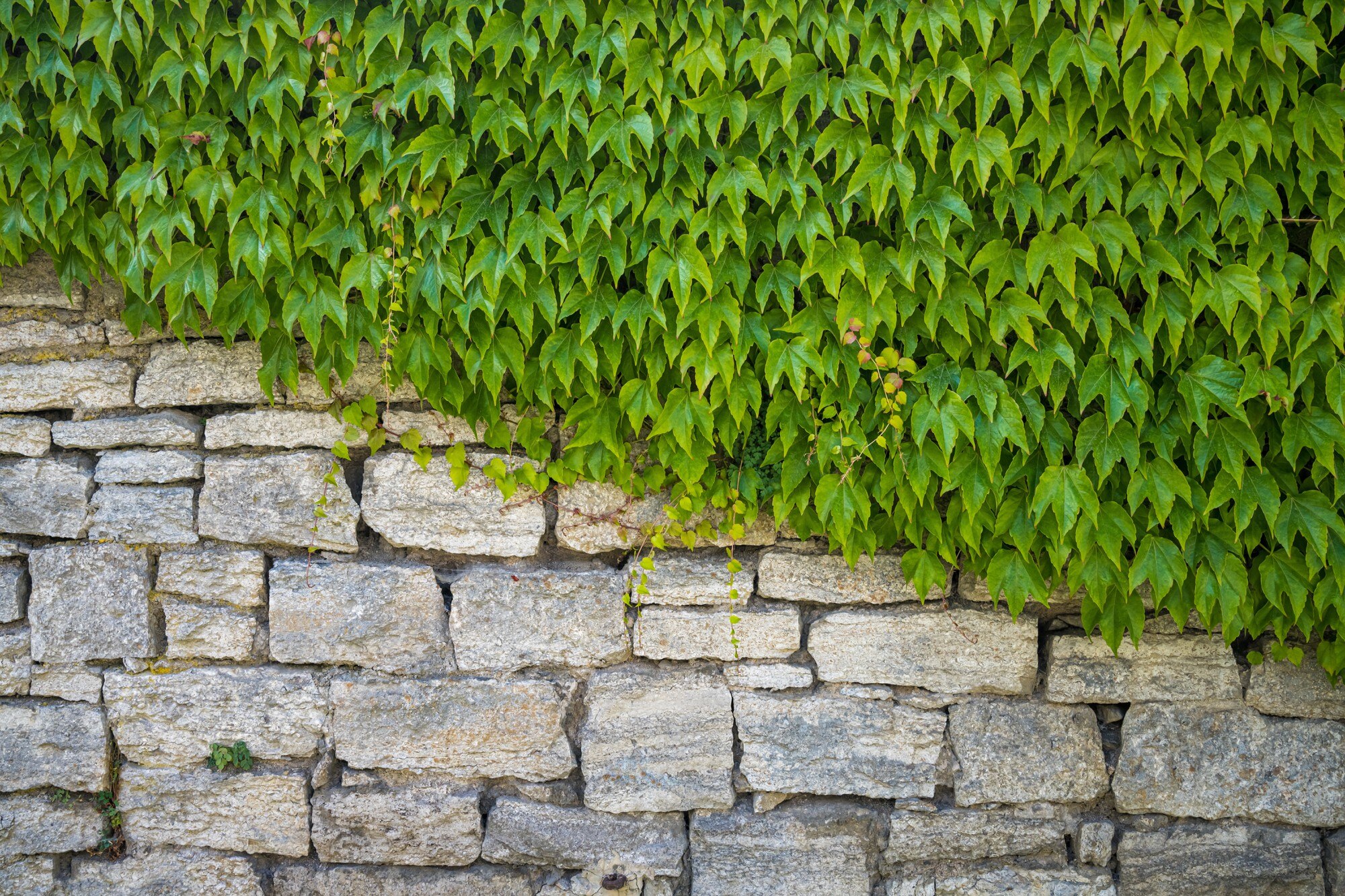 Council Approval for a Retaining Wall in NSW/QLD/VIC