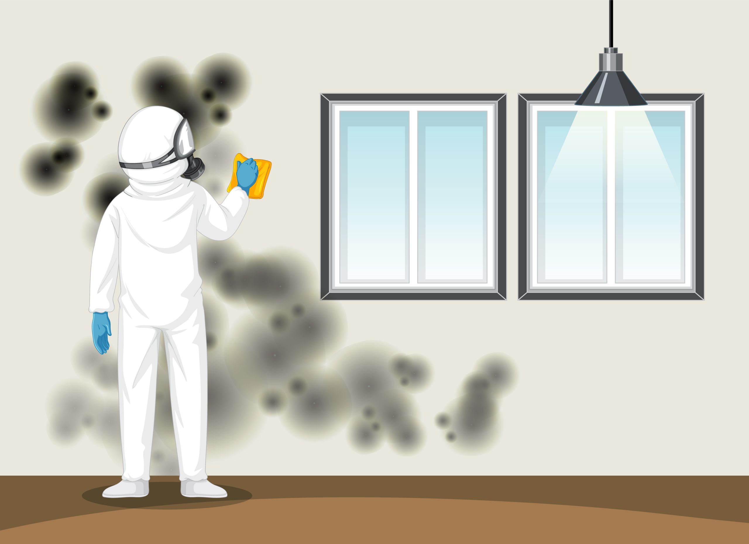 How to find Hidden Mould Behind Walls